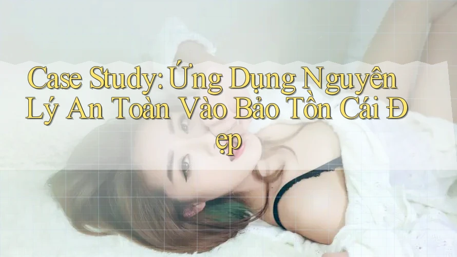Case Study: Ứng Dụng Nguyên Lý An Toàn Vào Bảo Tồn Cái Đẹp