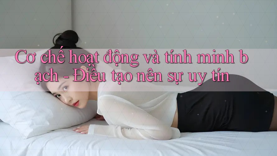 Cơ chế hoạt động và tính minh bạch - Điều tạo nên sự uy tín