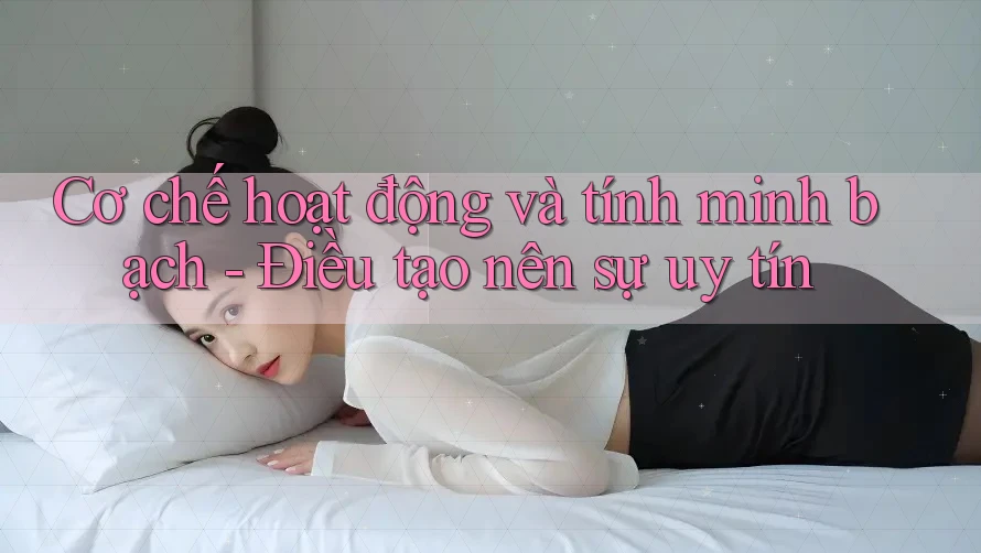 Cơ chế hoạt động và tính minh bạch - Điều tạo nên sự uy tín