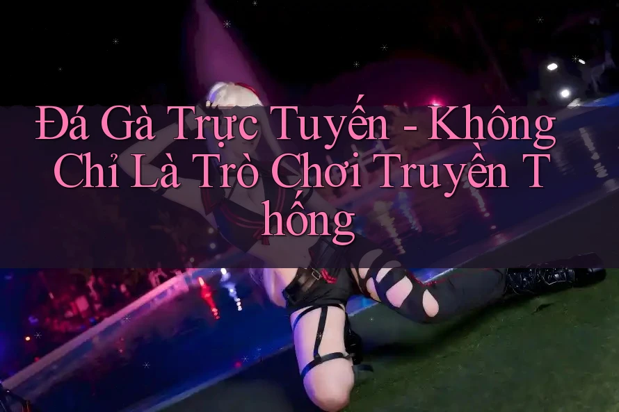 Đá Gà Trực Tuyến - Không Chỉ Là Trò Chơi Truyền Thống