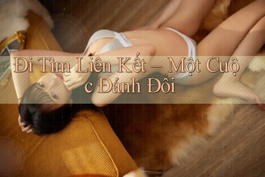 Đi Tìm Liên Kết – Một Cuộc Đánh Đổi