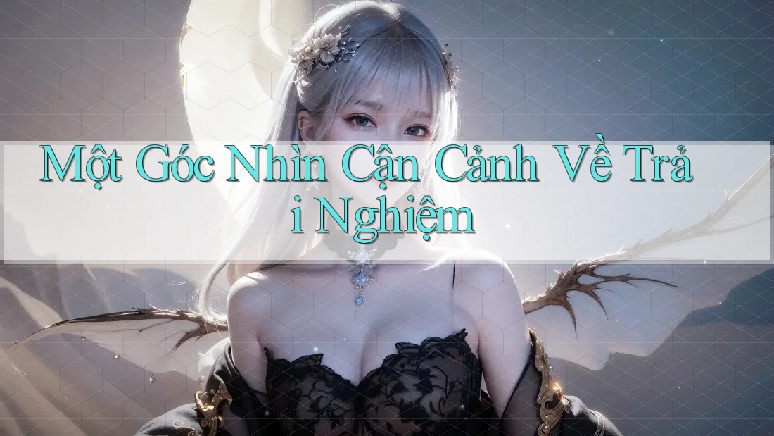 Một Góc Nhìn Cận Cảnh Về Trải Nghiệm