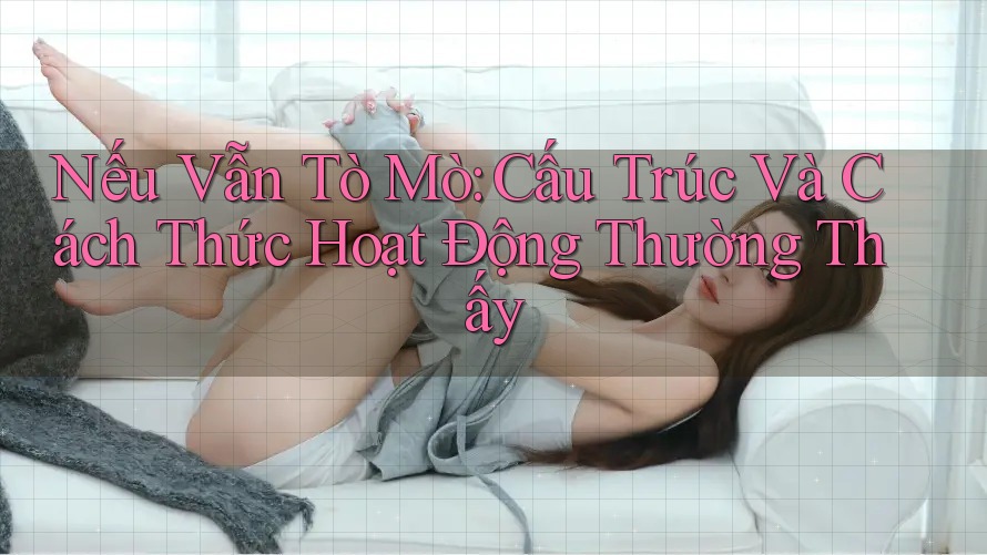Nếu Vẫn Tò Mò: Cấu Trúc Và Cách Thức Hoạt Động Thường Thấy