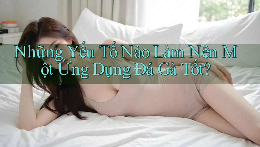 Những Yếu Tố Nào Làm Nên Một Ứng Dụng Đá Gà Tốt? Những Yếu Tố Nào Làm Nên Một Ứng Dụng Đá Gà Tốt?