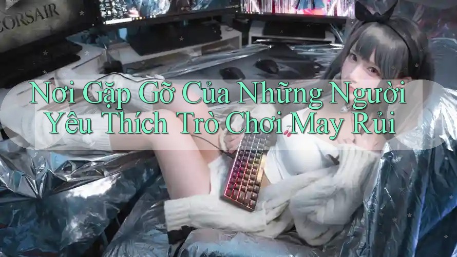 Nơi Gặp Gỡ Của Những Người Yêu Thích Trò Chơi May Rủi