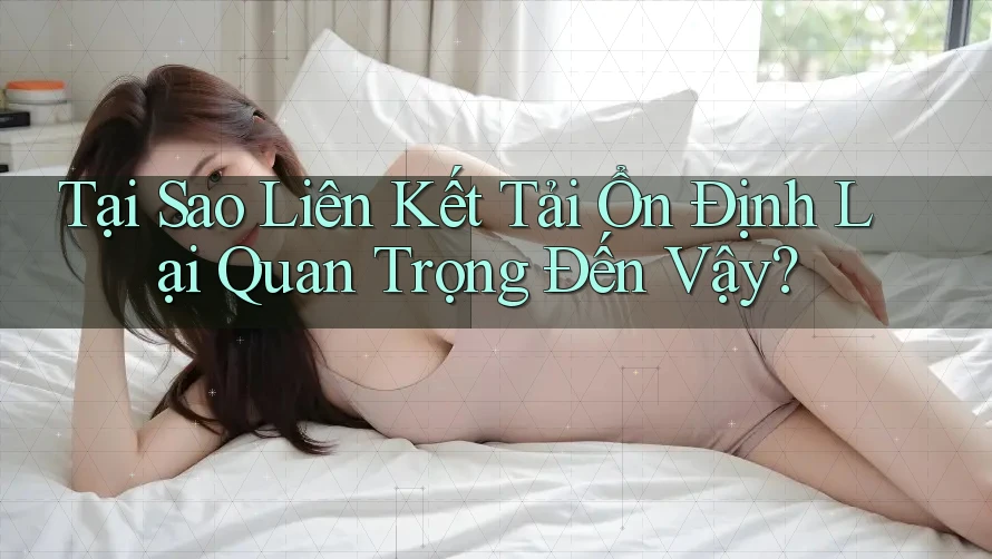 Tại Sao Liên Kết Tải Ổn Định Lại Quan Trọng Đến Vậy? Tại Sao Liên Kết Tải Ổn Định Lại Quan Trọng Đến Vậy?