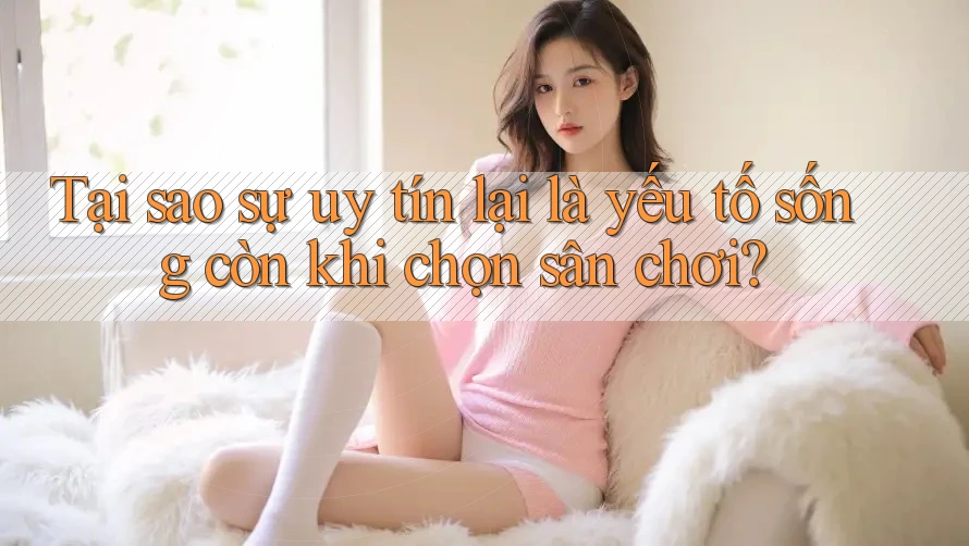 Tại sao sự uy tín lại là yếu tố sống còn khi chọn sân chơi?