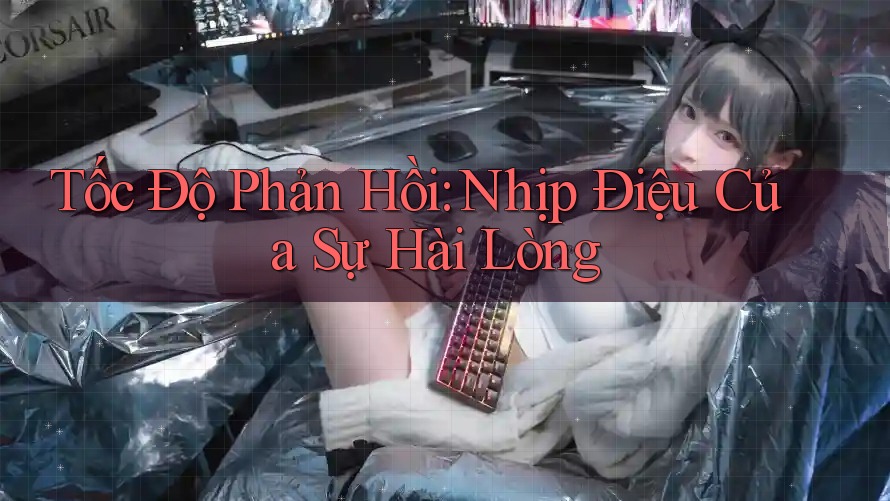 Tốc Độ Phản Hồi: Nhịp Điệu Của Sự Hài Lòng