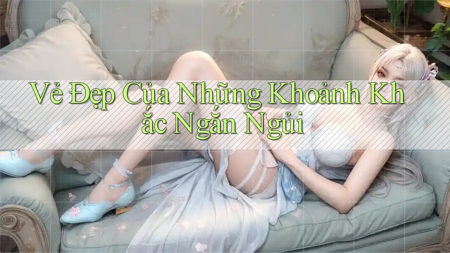 Vẻ Đẹp Của Những Khoảnh Khắc Ngắn Ngủi Vẻ Đẹp Của Những Khoảnh Khắc Ngắn Ngủi
