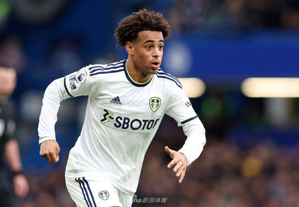 仅是出于朋 仅是出于朋